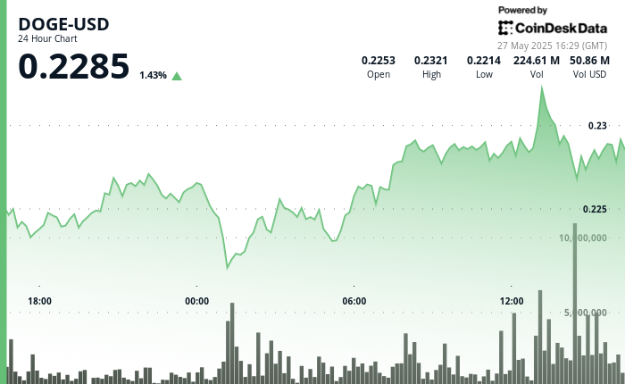 Dogecoin (DOGE) Holds $0.220 Support as Whale Wallets Grow Amid Market Uncertainty